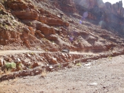 roger_on_the_trail