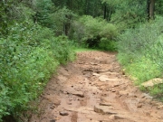 bumpy_section