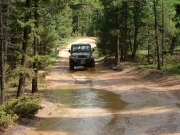 ladd_splash_part_1