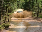 ladd_splash_part_2