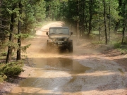 ladd_splash_part_4