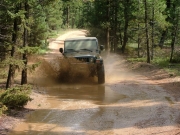 ladd_splash_part_5