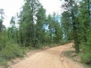mellow_trail