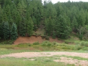 pond