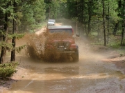 roger_splash_part_5