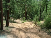 rutted_trail