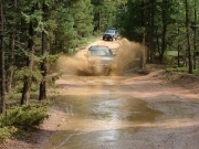 walt_splash_part_2