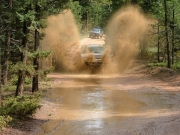 walt_splash_part_3