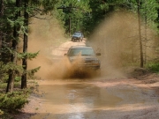 walt_splash_part_4