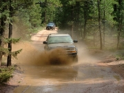 walt_splash_part_5