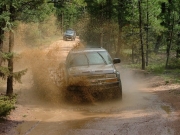 walt_splash_part_6