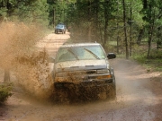 walt_splash_part_7