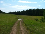 across_a_meadow