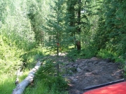 bumpy_trail