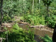 creek