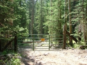 first_gate