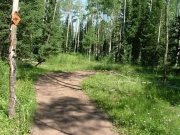 mellow_trail