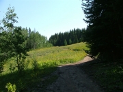 up_to_a_meadow