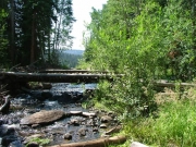 walking_bridge_number_1_part_2