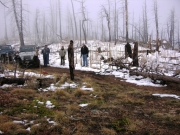 clearing_a_blowdown_part_1