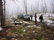 clearing_a_blowdown_part_2