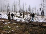 clearing_a_blowdown_part_3