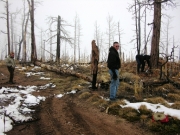 clearing_a_blowdown_part_4