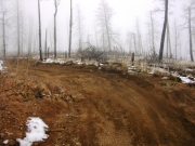 early_trail