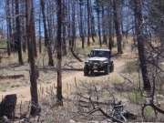 bill_on_the_trail
