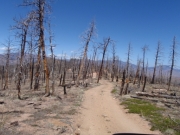 trail_part_2