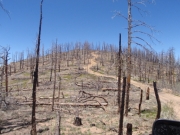 trail_part_3