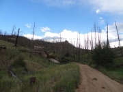 burn_area