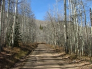 aspens_part_2