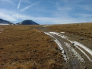 little_snow