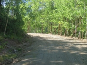 early_trail
