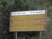 bighorn_sheep_sign