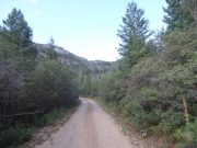 different_trees