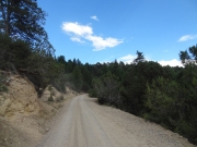 easy_road