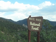 national_forest_sign