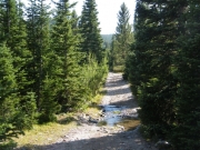 more_water