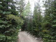 heading_in