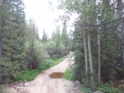 small_puddle