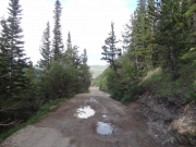 soggy_trail