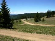 trail_at_the_summit