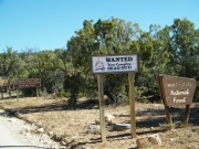 lots_of_signs