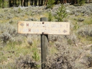 early_sign