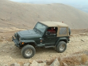 bob_on_the_trail