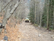 gary_in_aspens