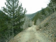 narrow_trail