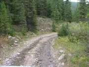 creek_in_the_trail